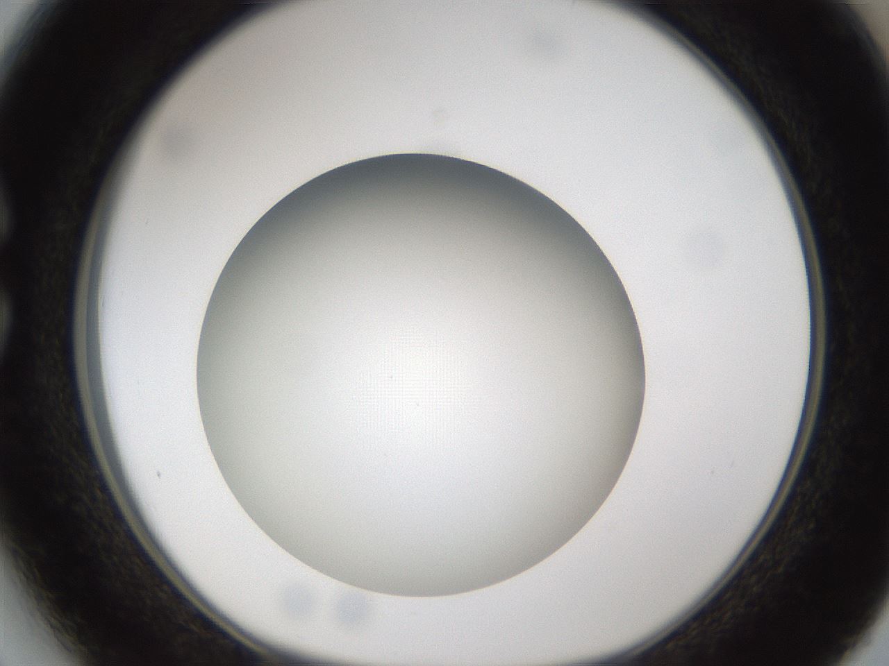 folderID302_plateID1302_batchID4262_wellNum27_profileID1_d1_r78322_ef.jpg