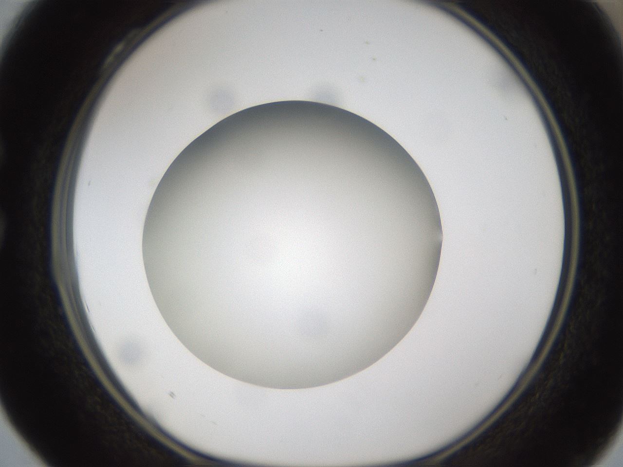 folderID302_plateID1302_batchID4262_wellNum28_profileID1_d1_r78323_ef.jpg