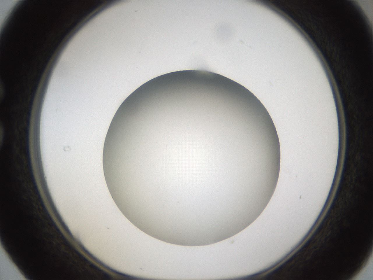 folderID302_plateID1302_batchID4262_wellNum29_profileID1_d1_r78324_ef.jpg