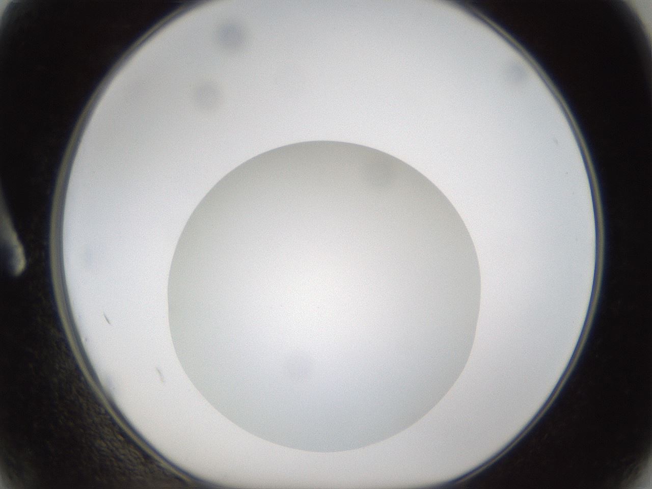 folderID302_plateID1302_batchID4262_wellNum2_profileID1_d1_r78297_ef.jpg