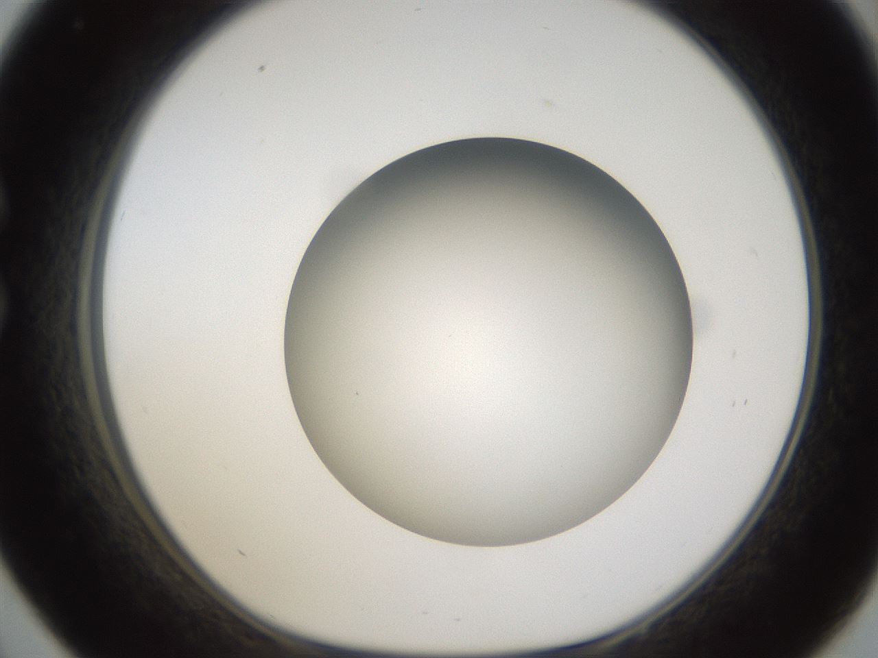 folderID302_plateID1302_batchID4262_wellNum33_profileID1_d1_r78328_ef.jpg