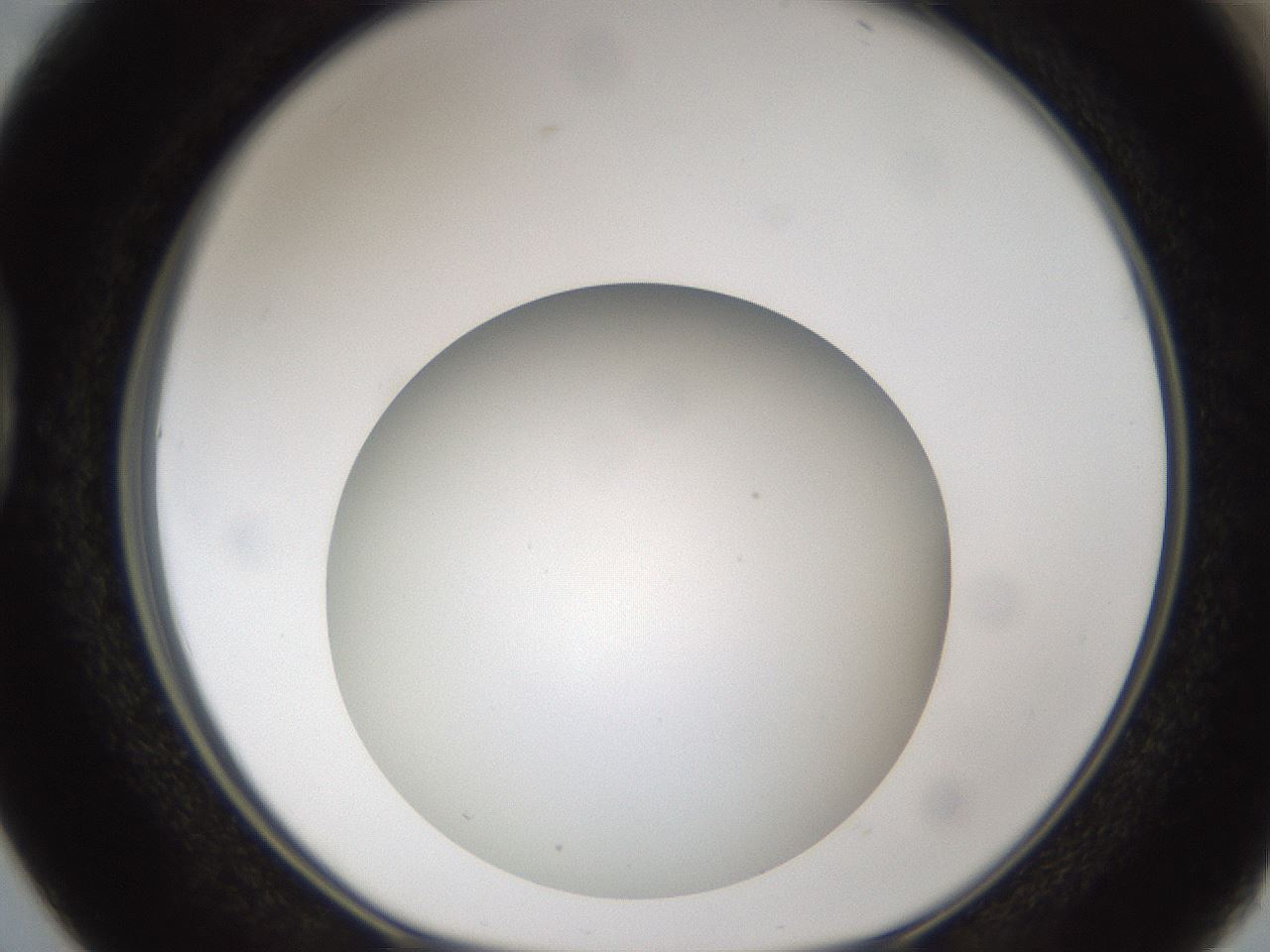 folderID302_plateID1302_batchID4262_wellNum38_profileID1_d1_r78333_ef.jpg