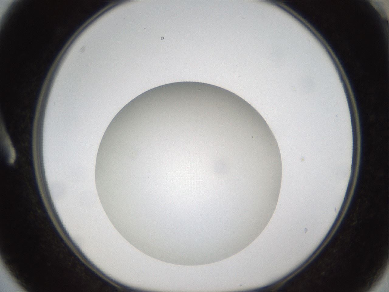folderID302_plateID1302_batchID4262_wellNum3_profileID1_d1_r78298_ef.jpg
