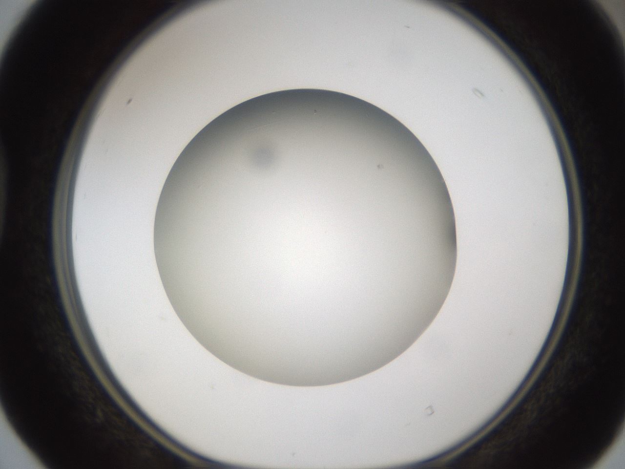 folderID302_plateID1302_batchID4262_wellNum40_profileID1_d1_r78335_ef.jpg