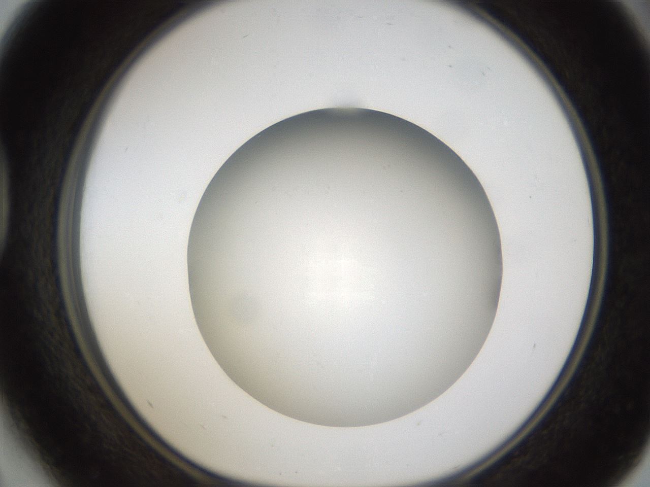 folderID302_plateID1302_batchID4262_wellNum41_profileID1_d1_r78336_ef.jpg