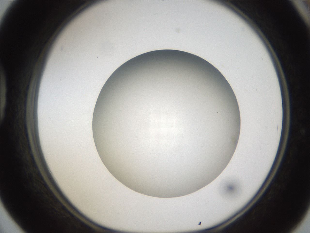 folderID302_plateID1302_batchID4262_wellNum42_profileID1_d1_r78337_ef.jpg