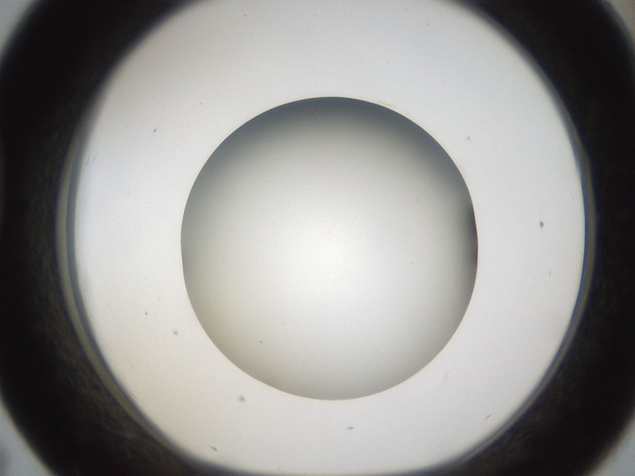 folderID302_plateID1302_batchID4262_wellNum43_profileID1_d1_r78338_ef.jpg