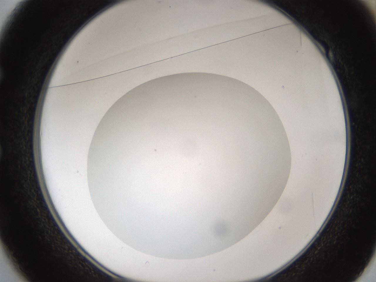 folderID302_plateID1302_batchID4262_wellNum49_profileID1_d1_r78344_ef.jpg