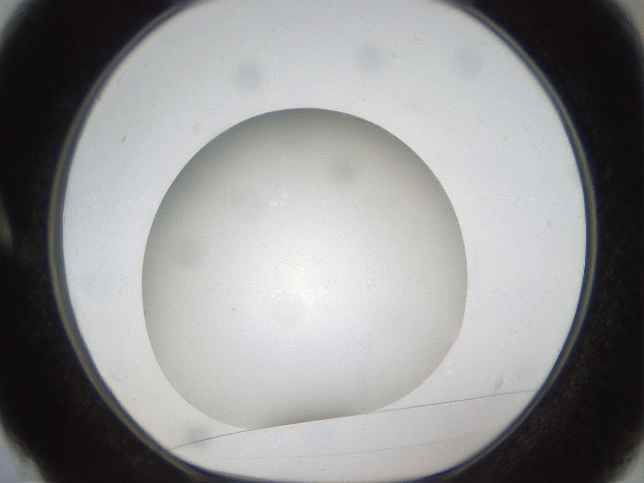 folderID302_plateID1302_batchID4262_wellNum4_profileID1_d1_r78299_ef.jpg