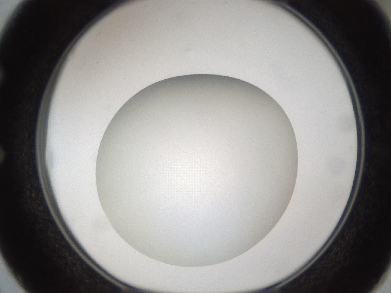 folderID302_plateID1302_batchID4262_wellNum50_profileID1_d1_r78345_ef.jpg