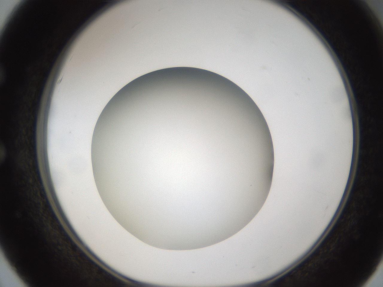folderID302_plateID1302_batchID4262_wellNum51_profileID1_d1_r78346_ef.jpg