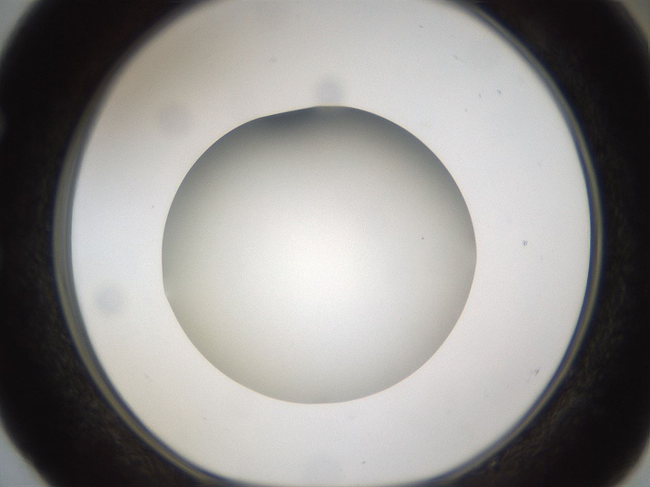 folderID302_plateID1302_batchID4262_wellNum52_profileID1_d1_r78347_ef.jpg