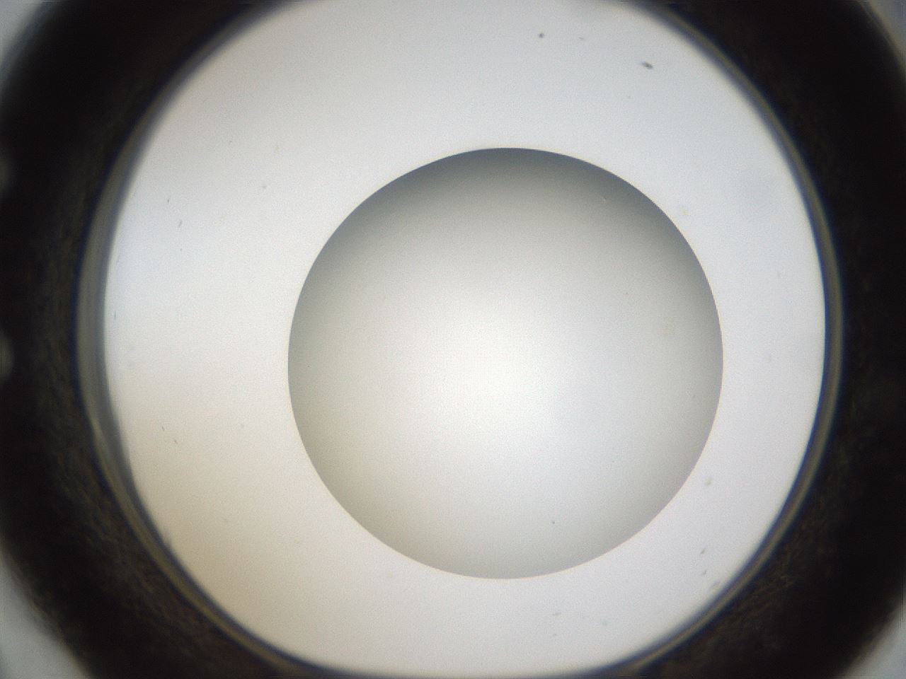 folderID302_plateID1302_batchID4262_wellNum54_profileID1_d1_r78349_ef.jpg