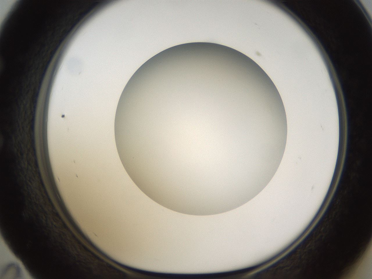 folderID302_plateID1302_batchID4262_wellNum59_profileID1_d1_r78354_ef.jpg