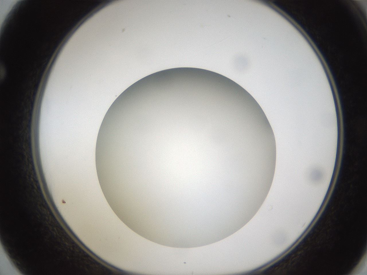 folderID302_plateID1302_batchID4262_wellNum62_profileID1_d1_r78357_ef.jpg