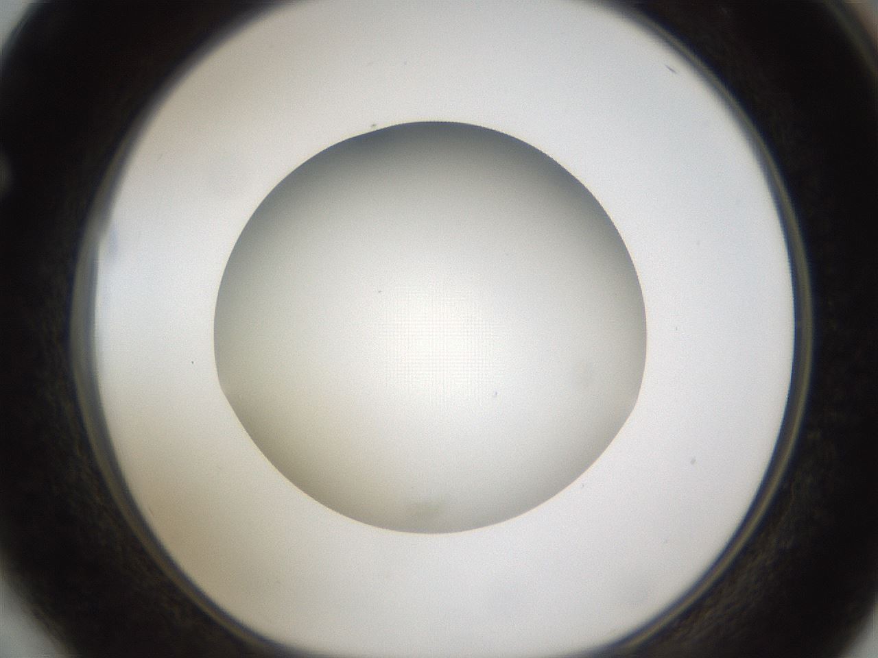 folderID302_plateID1302_batchID4262_wellNum64_profileID1_d1_r78359_ef.jpg