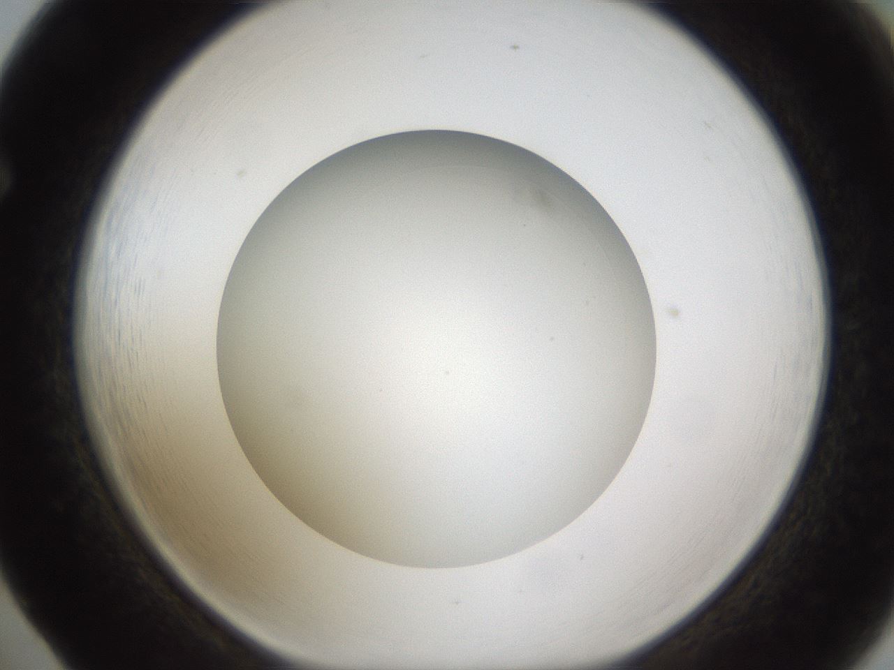 folderID302_plateID1302_batchID4262_wellNum65_profileID1_d1_r78360_ef.jpg