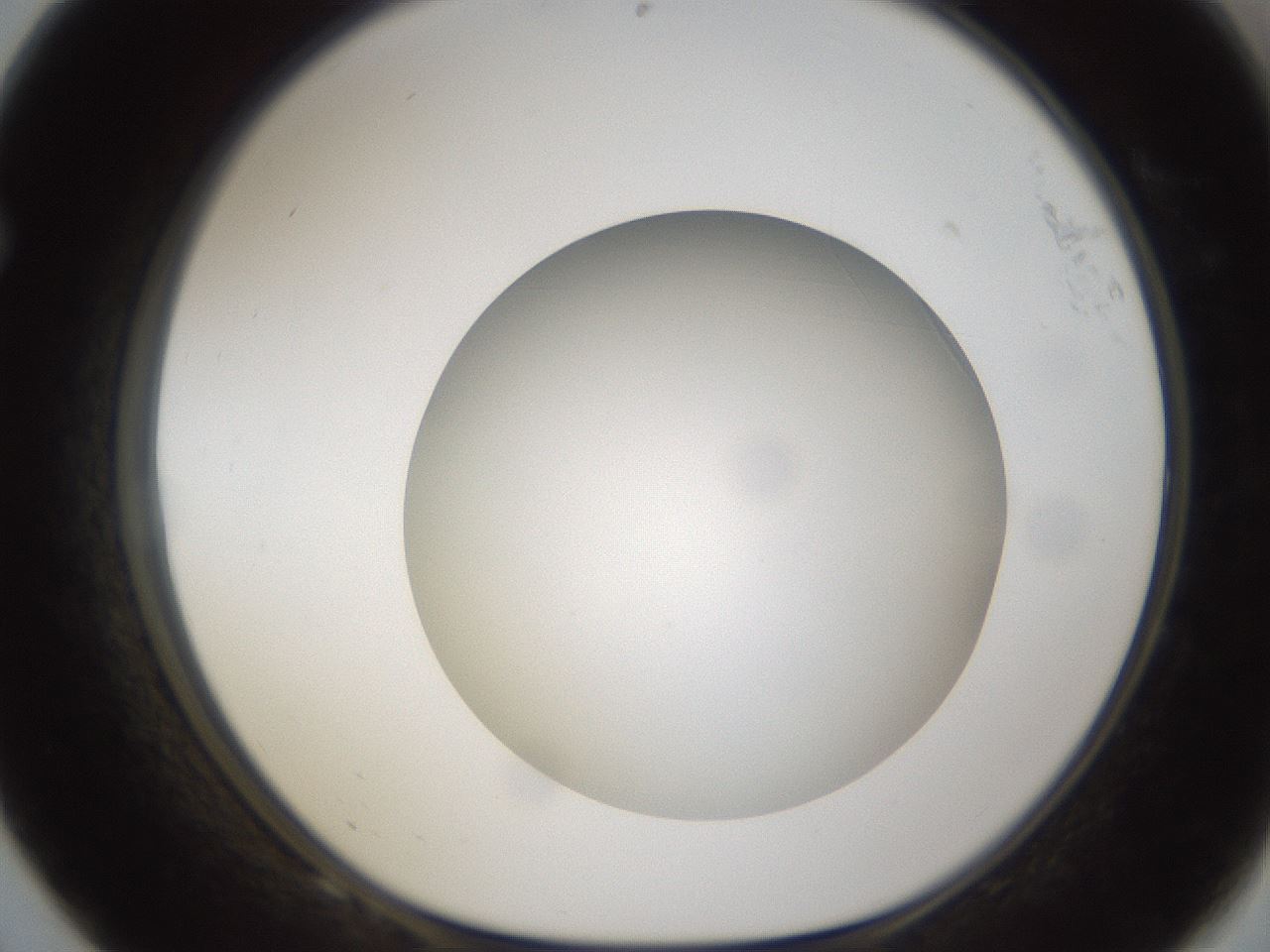 folderID302_plateID1302_batchID4262_wellNum68_profileID1_d1_r78363_ef.jpg