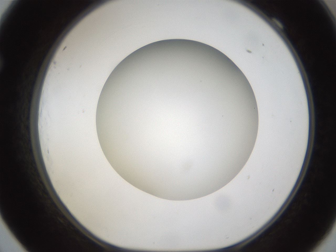 folderID302_plateID1302_batchID4262_wellNum69_profileID1_d1_r78364_ef.jpg