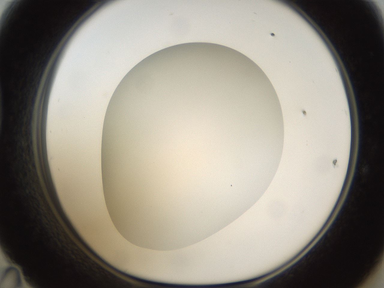 folderID302_plateID1302_batchID4262_wellNum47_profileID1_d1_r78342_ef.jpg