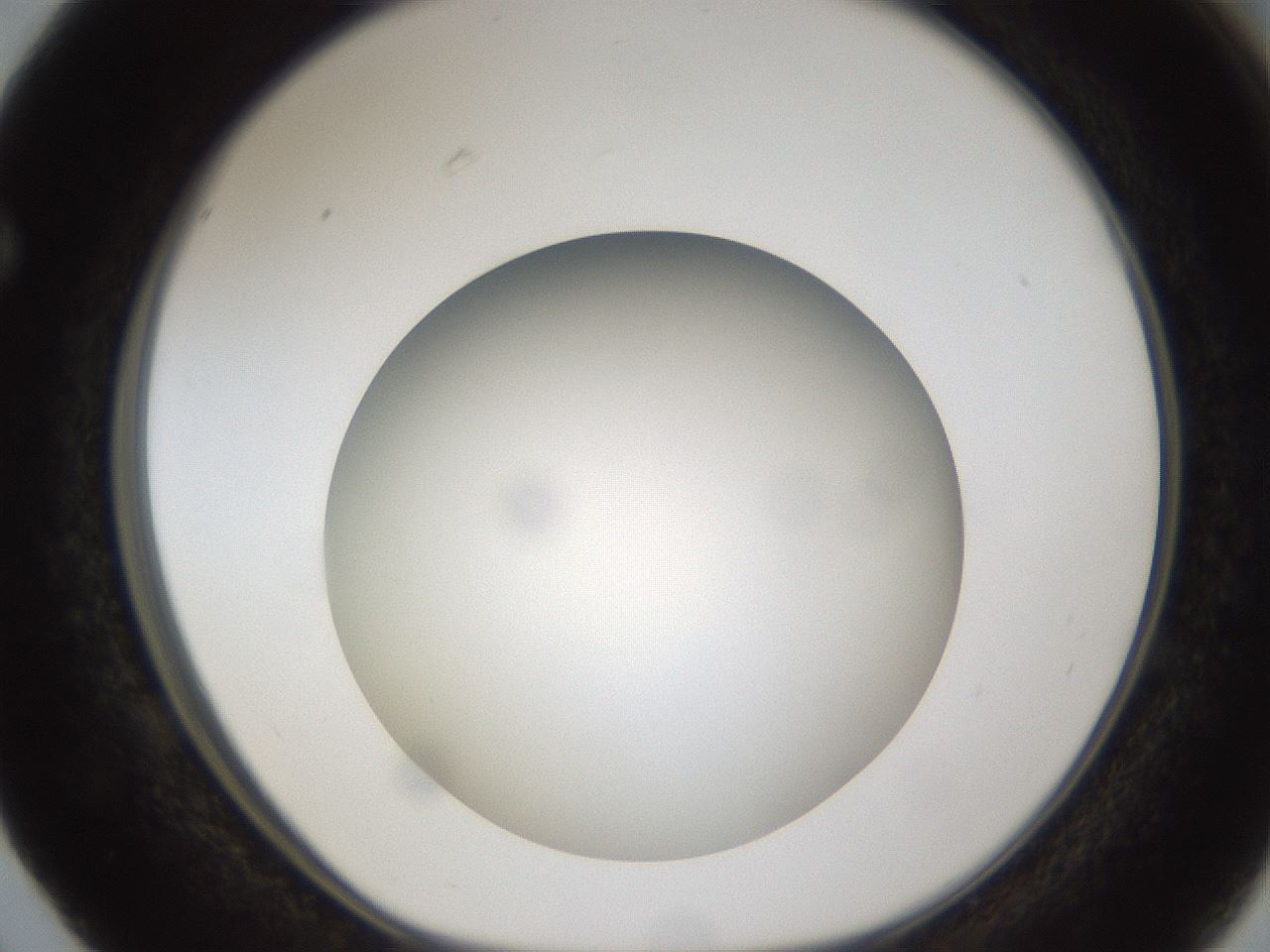 folderID302_plateID1302_batchID4262_wellNum63_profileID1_d1_r78358_ef.jpg