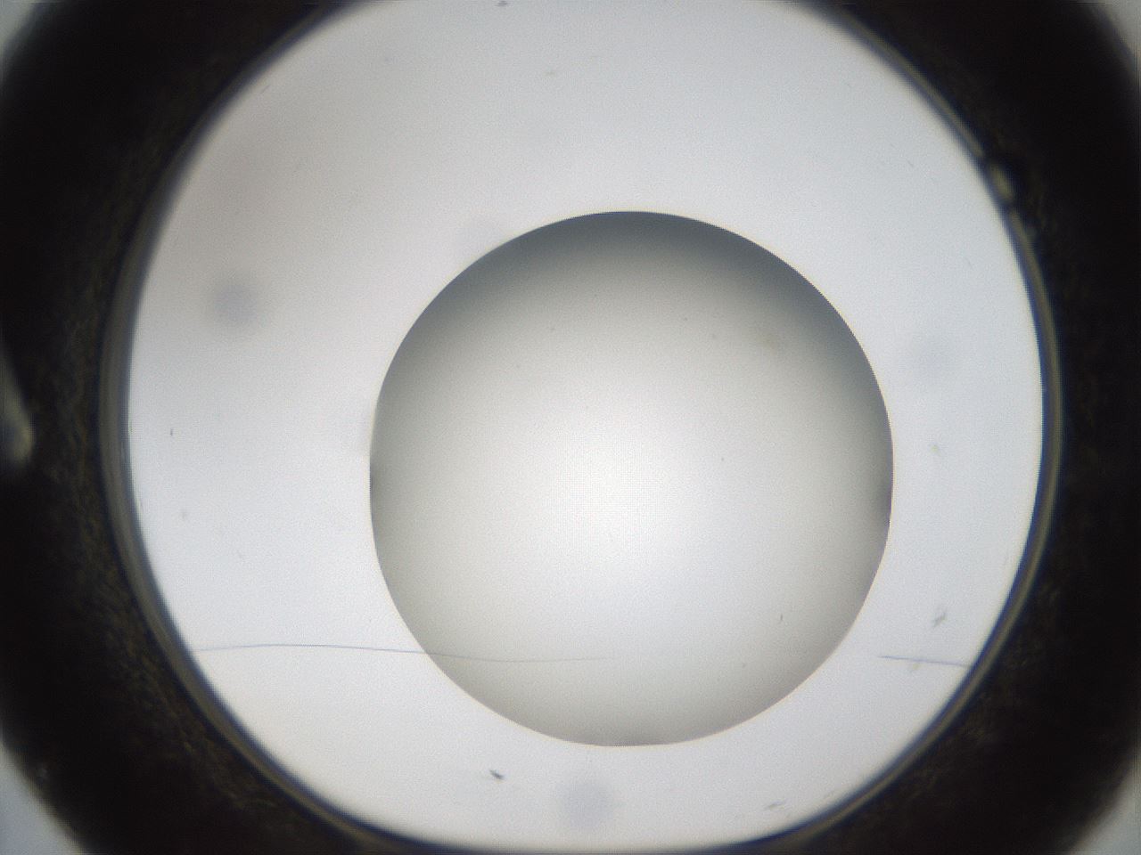 folderID302_plateID1302_batchID4262_wellNum7_profileID1_d1_r78302_ef.jpg