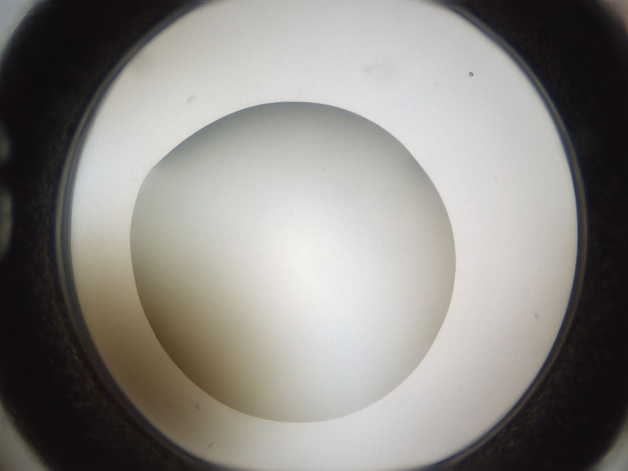 folderID302_plateID1302_batchID4262_wellNum74_profileID1_d1_r78369_ef.jpg