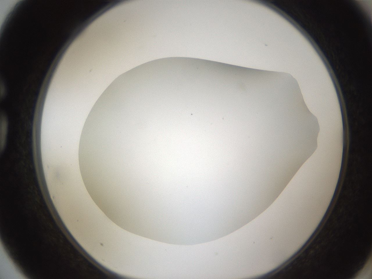 folderID302_plateID1302_batchID4262_wellNum75_profileID1_d1_r78370_ef.jpg