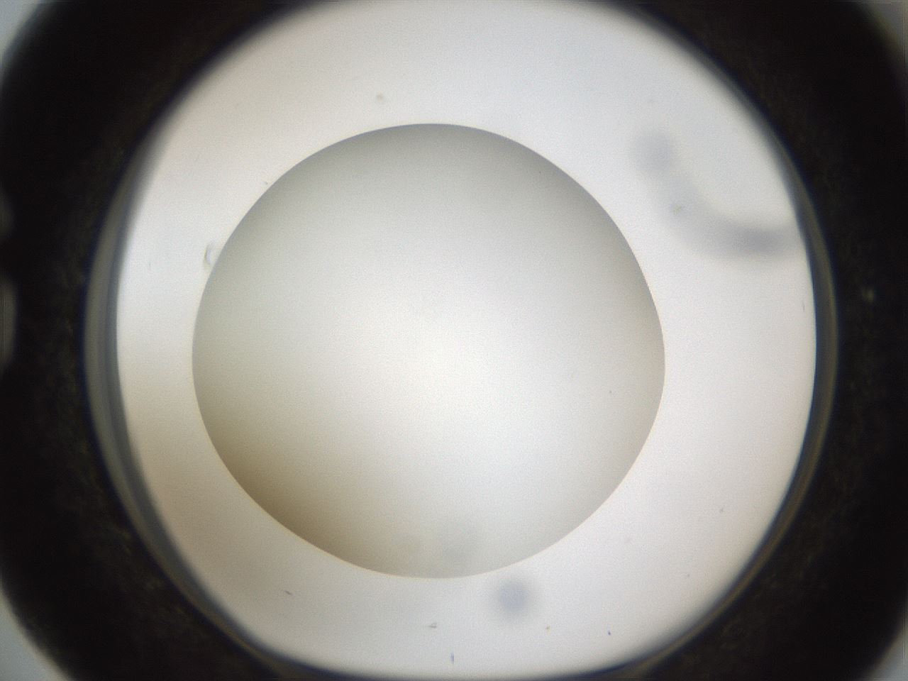 folderID302_plateID1302_batchID4262_wellNum76_profileID1_d1_r78371_ef.jpg