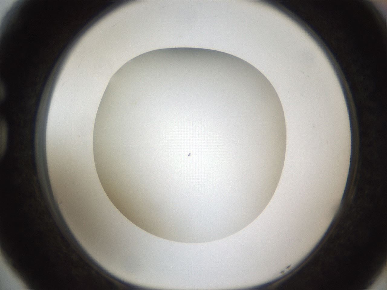 folderID302_plateID1302_batchID4262_wellNum77_profileID1_d1_r78372_ef.jpg