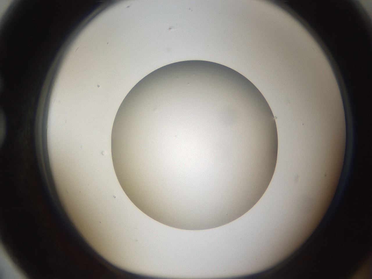folderID302_plateID1302_batchID4262_wellNum79_profileID1_d1_r78374_ef.jpg