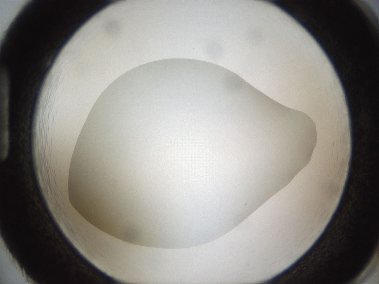 folderID302_plateID1302_batchID4262_wellNum86_profileID1_d1_r78381_ef.jpg