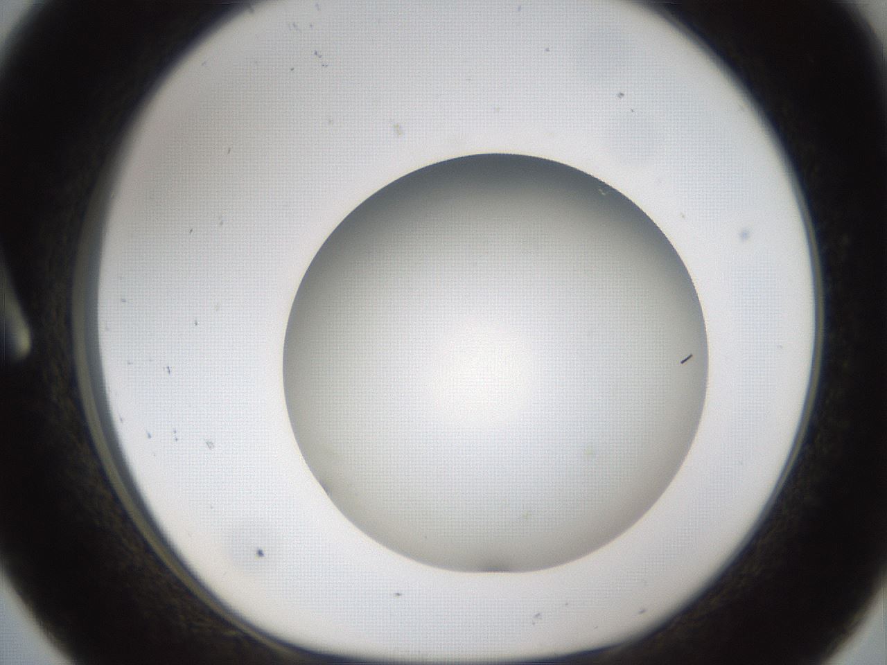 folderID302_plateID1302_batchID4262_wellNum8_profileID1_d1_r78303_ef.jpg