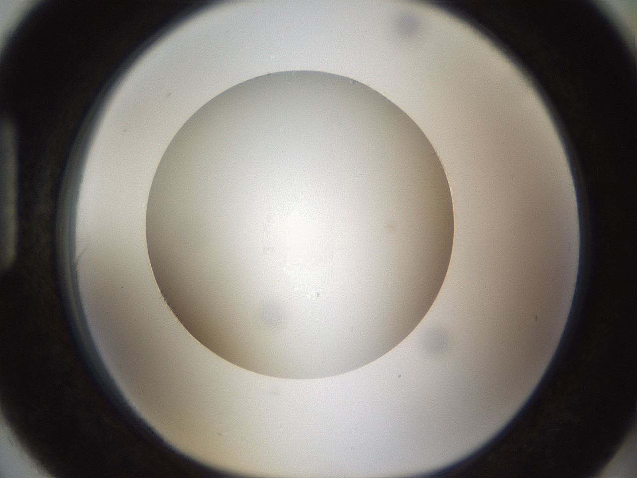 folderID302_plateID1302_batchID4262_wellNum90_profileID1_d1_r78385_ef.jpg