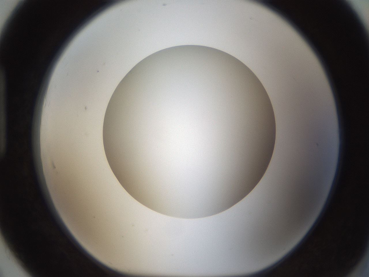 folderID302_plateID1302_batchID4262_wellNum91_profileID1_d1_r78386_ef.jpg