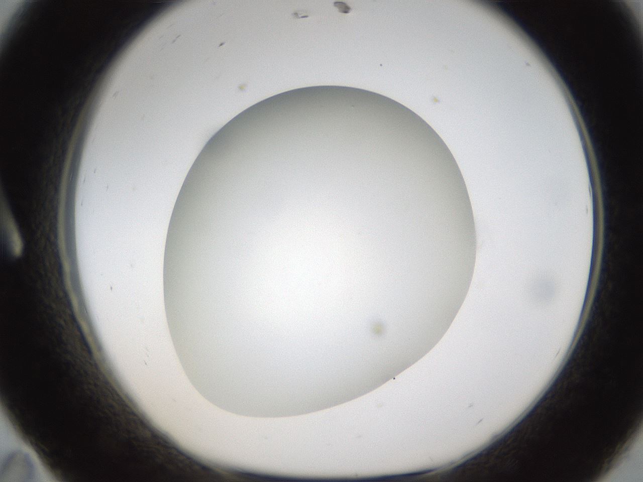 folderID302_plateID1302_batchID4299_wellNum11_profileID1_d1_r78306_ef.jpg