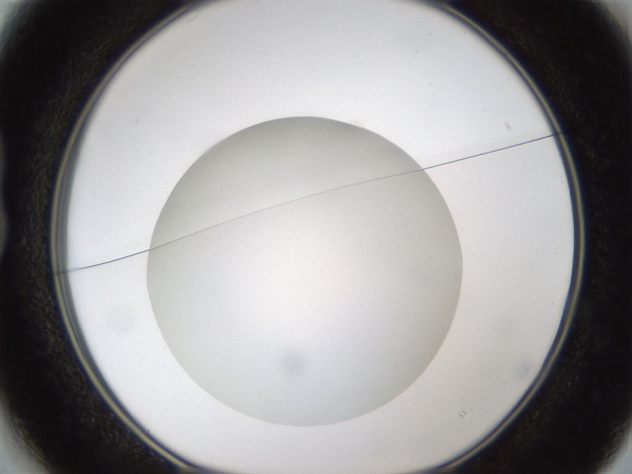 folderID302_plateID1302_batchID4299_wellNum13_profileID1_d1_r78308_ef.jpg