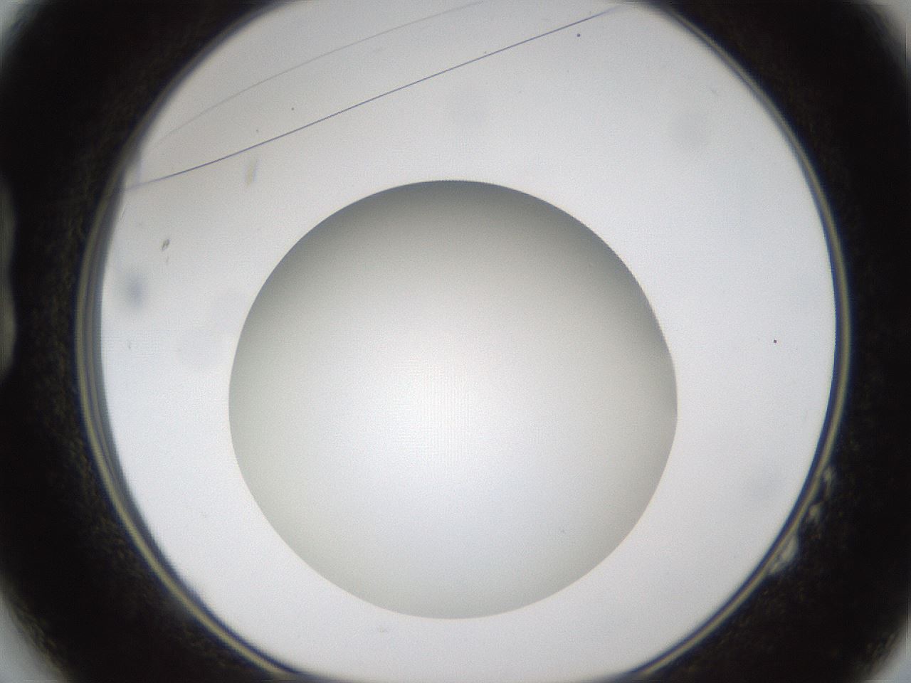 folderID302_plateID1302_batchID4299_wellNum14_profileID1_d1_r78309_ef.jpg