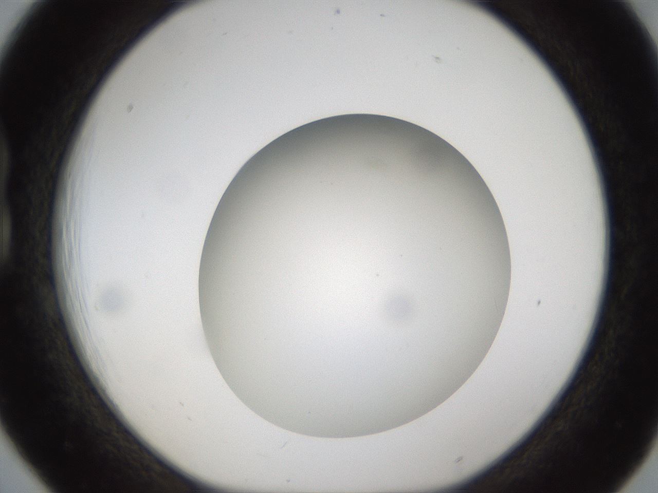 folderID302_plateID1302_batchID4299_wellNum18_profileID1_d1_r78313_ef.jpg
