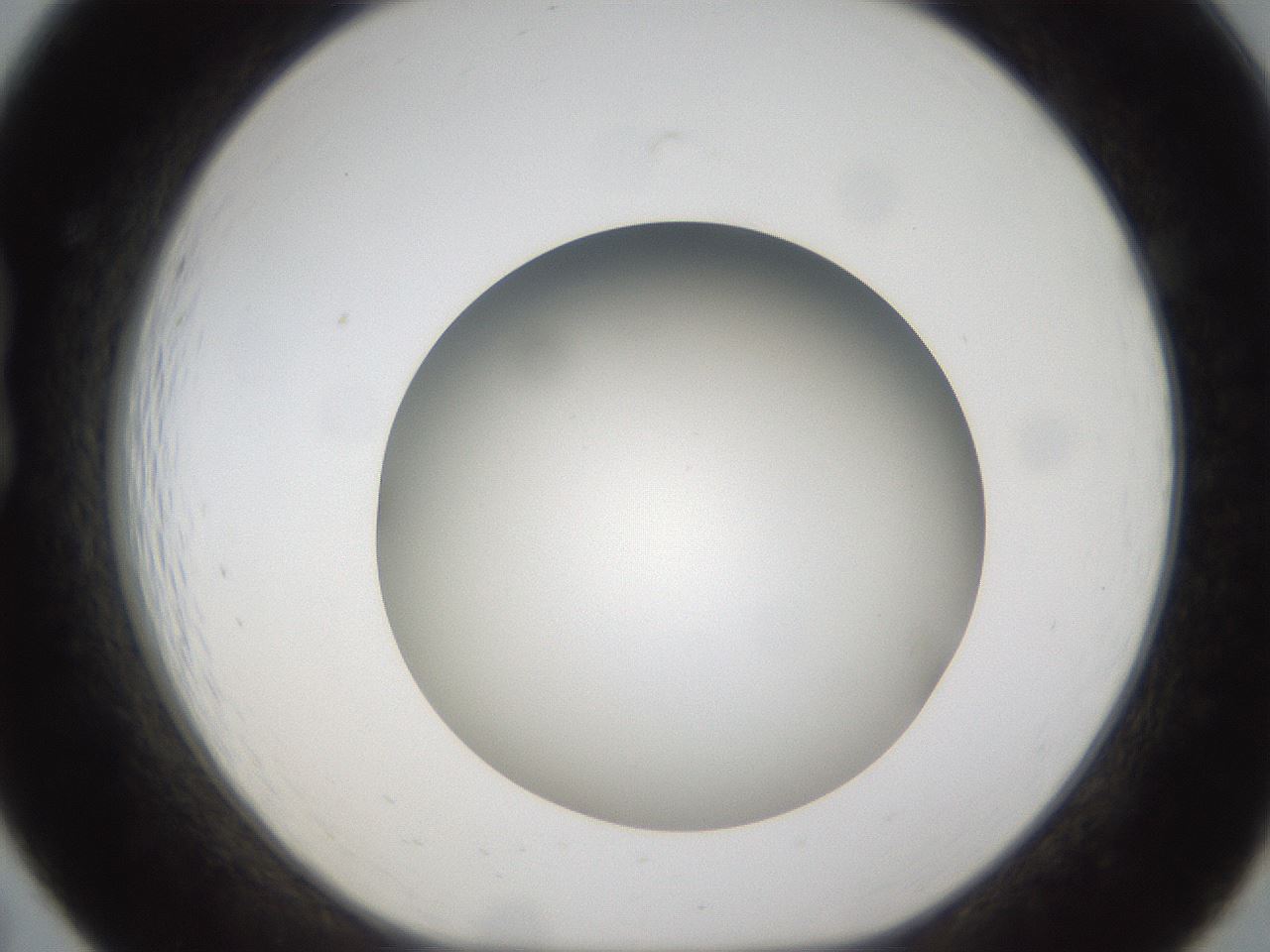folderID302_plateID1302_batchID4299_wellNum19_profileID1_d1_r78314_ef.jpg