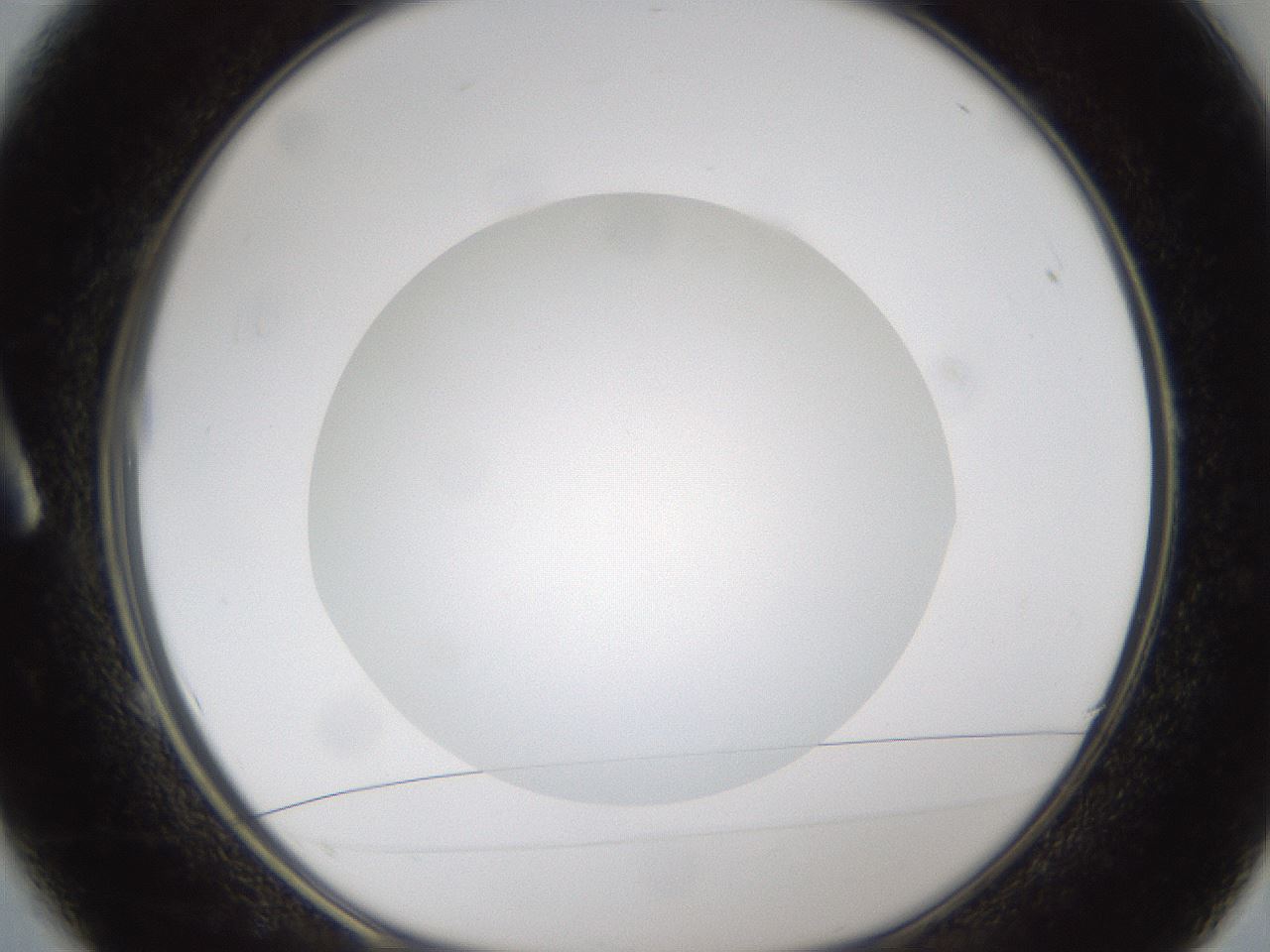 folderID302_plateID1302_batchID4299_wellNum1_profileID1_d1_r78296_ef.jpg