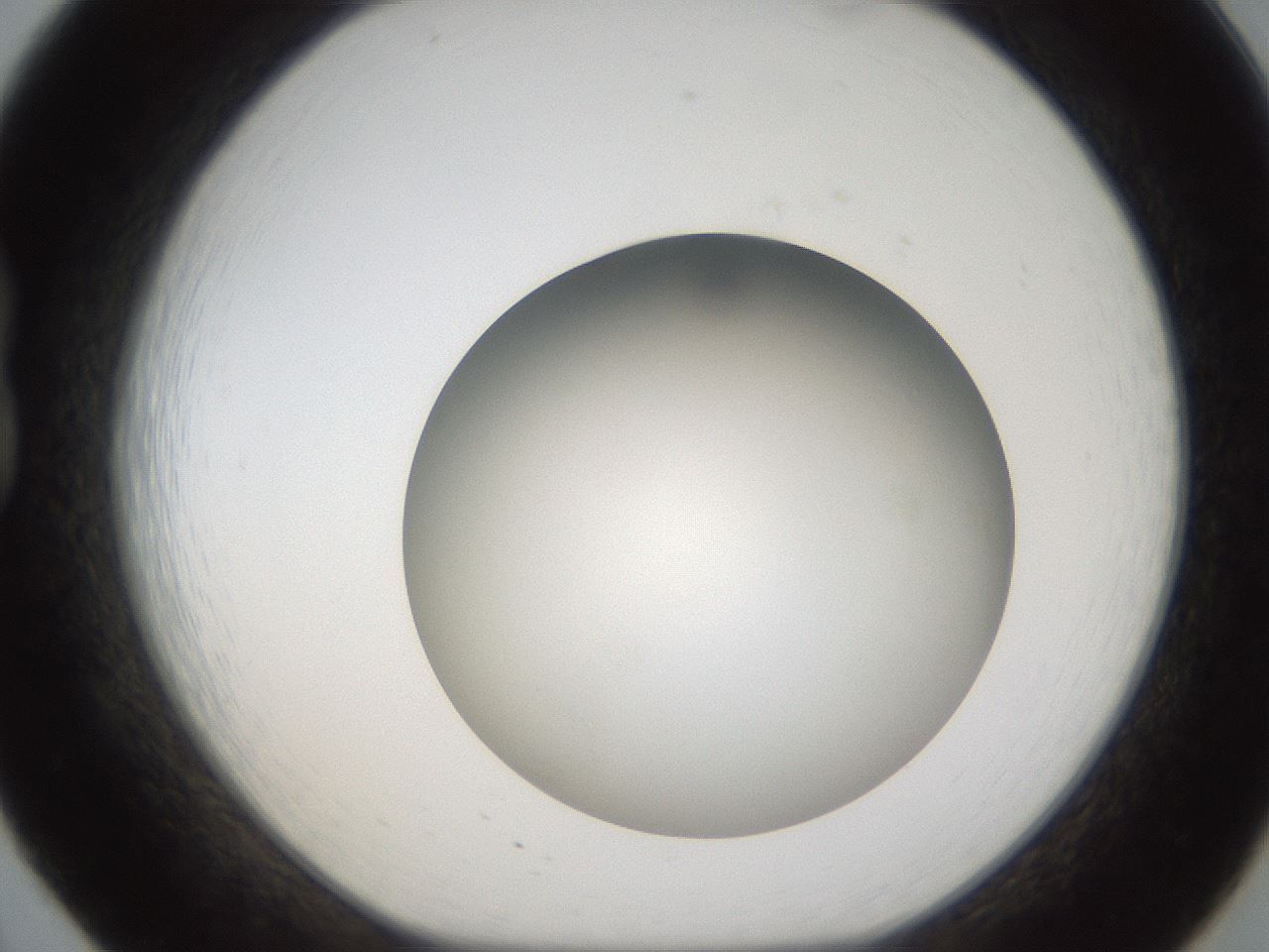 folderID302_plateID1302_batchID4299_wellNum20_profileID1_d1_r78315_ef.jpg