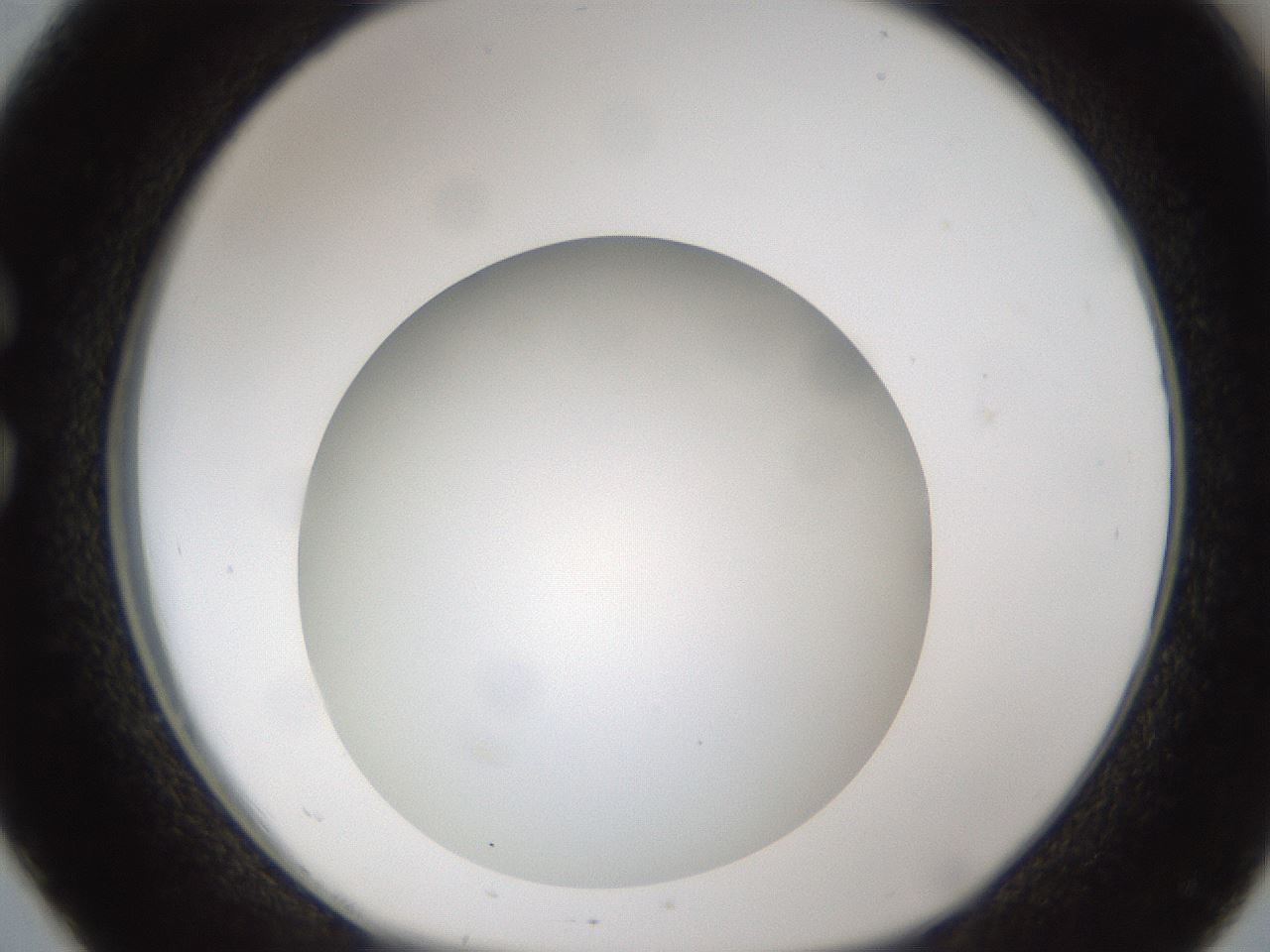 folderID302_plateID1302_batchID4299_wellNum26_profileID1_d1_r78321_ef.jpg