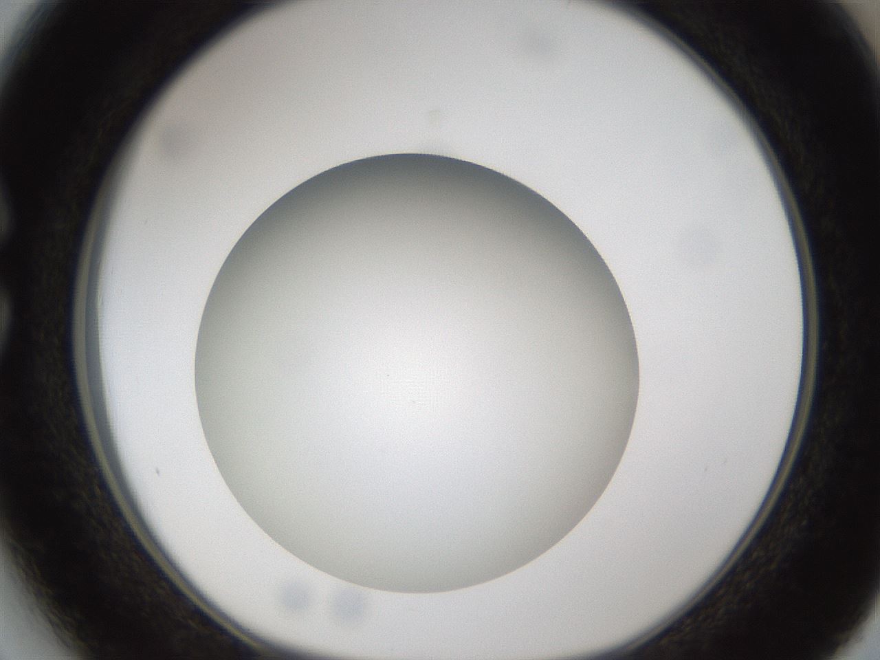 folderID302_plateID1302_batchID4299_wellNum27_profileID1_d1_r78322_ef.jpg
