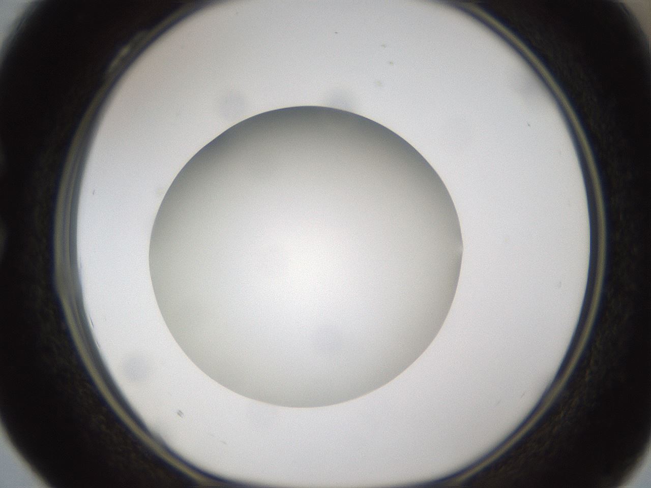 folderID302_plateID1302_batchID4299_wellNum28_profileID1_d1_r78323_ef.jpg