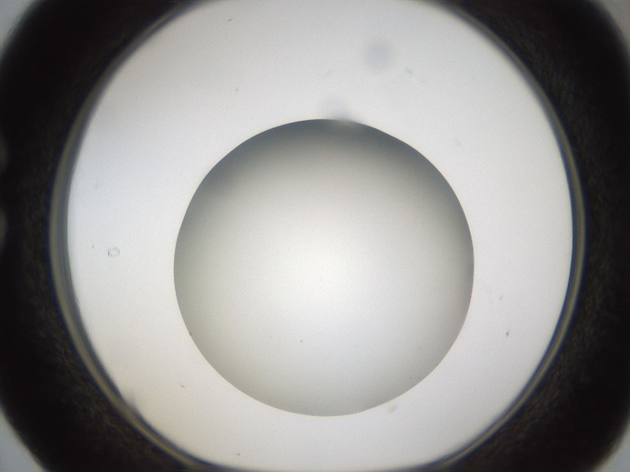 folderID302_plateID1302_batchID4299_wellNum29_profileID1_d1_r78324_ef.jpg