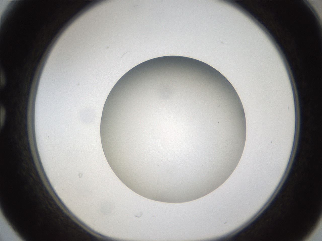 folderID302_plateID1302_batchID4299_wellNum30_profileID1_d1_r78325_ef.jpg