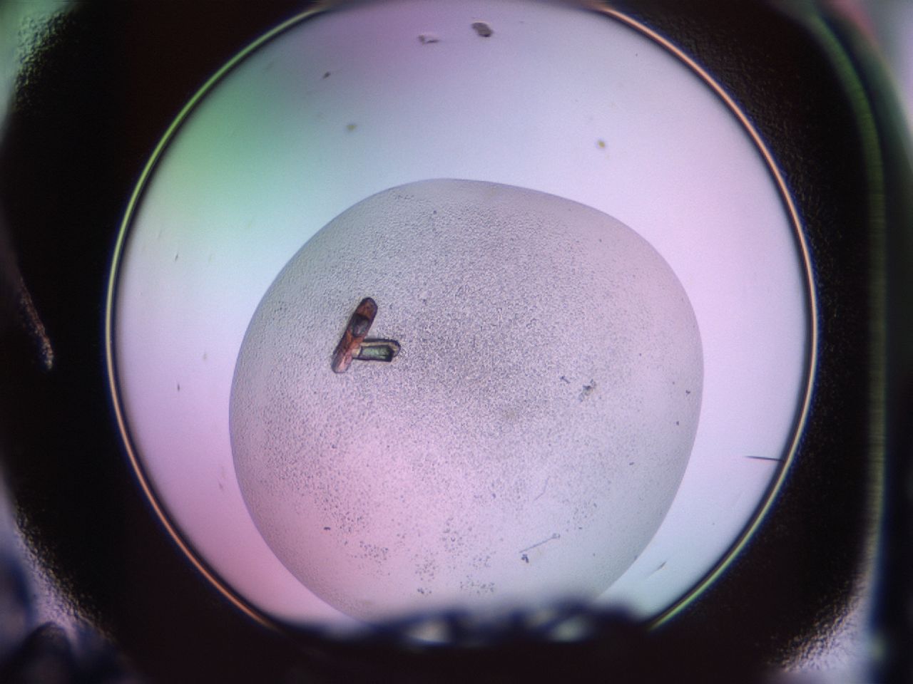 02kb_A11_ImagerDefaults_9.jpg