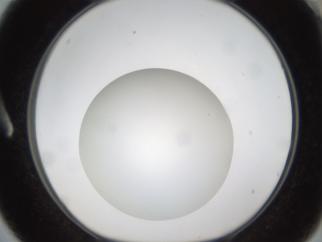folderID302_plateID1302_batchID4299_wellNum3_profileID1_d1_r78298_ef.jpg