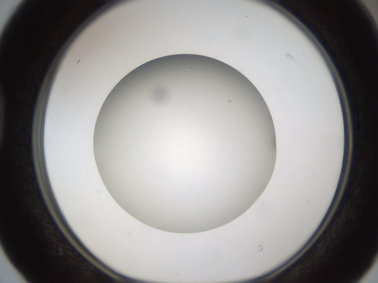 folderID302_plateID1302_batchID4299_wellNum40_profileID1_d1_r78335_ef.jpg